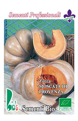 PIATTA ROTONDA COSTOLUTA ARANCIO SCURO