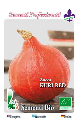 ROTONDA LISCIA ARANCIO