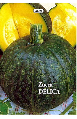 ROTONDA LISCIA VERDE