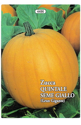 TONDA SFERICA GIALLO-ARANCIO