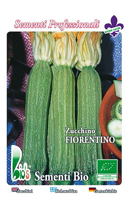 PRECOCE CILINDRICO PIANTA NANA GROSSA (CONSERVA IL FIORE)