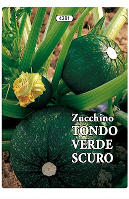 PRECOCE ROTONDO PIANTA NANA (RACCOLTA FIORI)